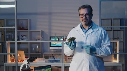 Mature Successful Scientist with Green Seedlings Standing in Laboratory