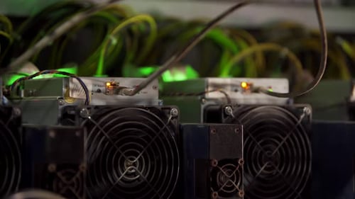 Equipo de minería de criptomonedas en una gran granja Los mineros de ASIC en estanterías extraen bitcoins en la sala de servidores
