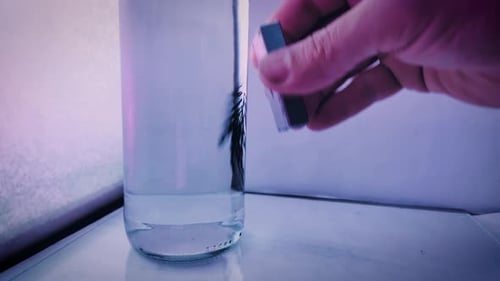 Iron filings in water being moved by a neodymium magnet.