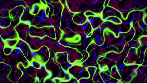 Abstract Fluid Neon Glowing Lines Motion Background