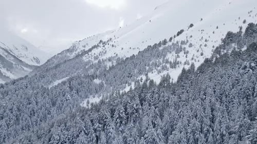 Majestic Snowy Mountain Landscape Showcasing Dense Forests and Serene Slopes in Winter Under Cloudy