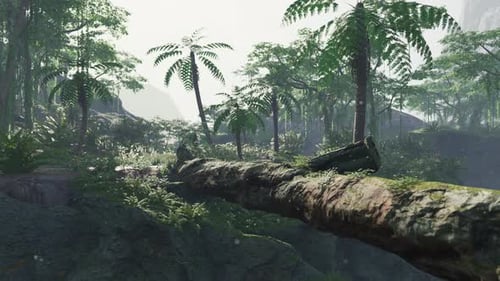 Way in Jungle of Malaysia