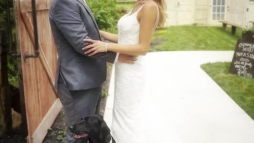 Um laboratório preto em uma bandana branca sentado embaixo de sua mãe e seu pai em seu casamento