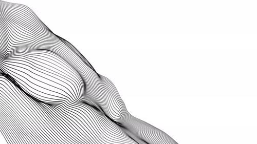 Dynamic Fluid Black Lines Abstract Background Animation