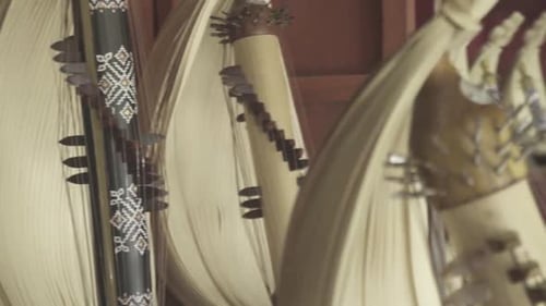 Instrumentos musicales de cuerda tradicionales de Nusa Tenggara Oriental, Indonesia