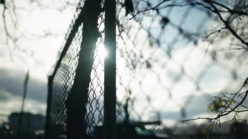 Chain link fence and blue sky behind them. Slowly moving along iron fence boundary of the jail restr
