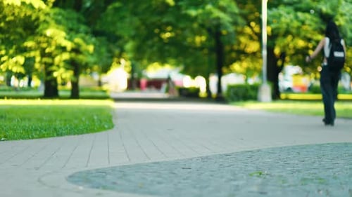 A Slow Motion Video Captures the Serene Atmosphere of a Peaceful Green Park Pathway Ideal for