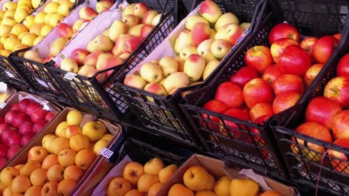 Showcase with Apples on the Street Market Farm Market