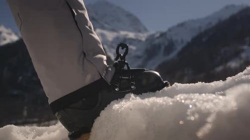 Skier Puts His Foot on the Snow Fastens the Clasp Adjusting Boat Buckle on Ski Boot Skiing