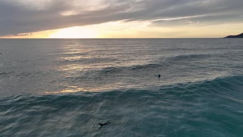 Unknown Surfers Laying on Their Surf Boards in Water Waiting for Waves in Evening Sea Near Beach