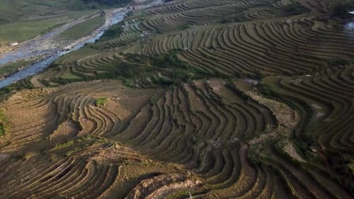 Aerial view over amazing rice terraced green misty mountains and river in Sapa, Vietnam at dusk as s