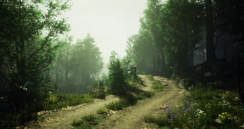 Serene Forest Path Bathed in Morning Light with Lush Greenery and Flowers