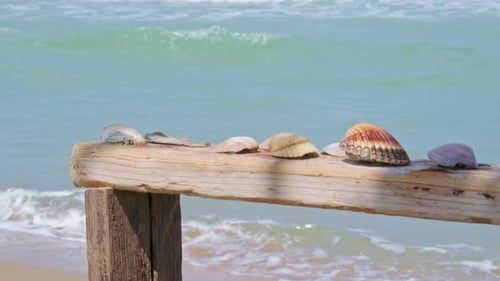 Seashells On Wooden Fence With Splashing Sea Waves At Background On Summer Breeze. - Static