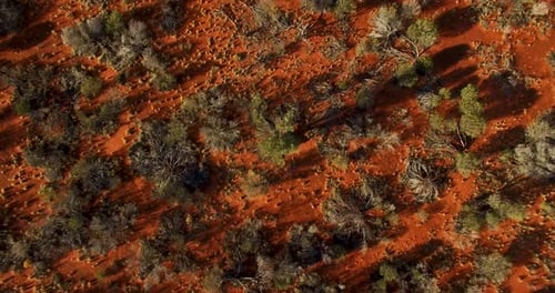 Slow moving low aerial across a red earth Australian outback landscape, birds eye view