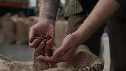 Unrecognizable Professional Roaster Checking Quality of Coffee Beans