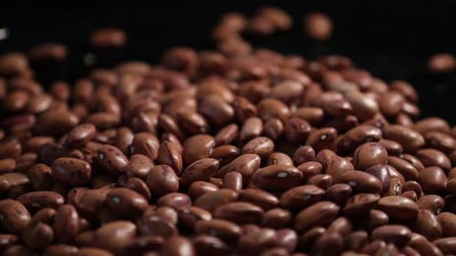 Close Up Rotating Dried Borlotti Beans – Food Shot