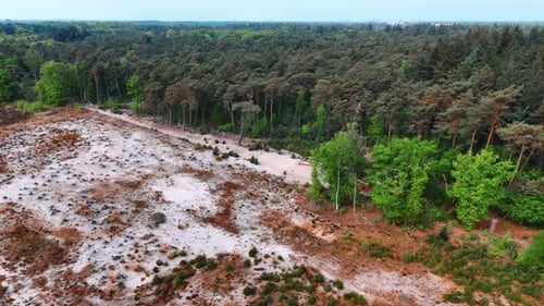 Bare land with no trees in the pine tree forest. Aerial perspective on the bare meadow in the wood.