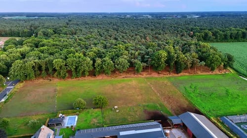 Campos verdes e árvores se estendem por muito tempo. Vista aérea de uma área verde exuberante
com árvores