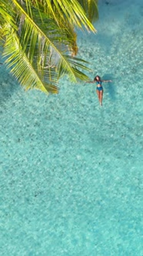 Calm Vertical Paradise Aerial View Tropical White Sand Beach with Turquoise Water and Palm Trees