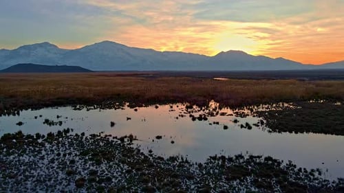 Marshland Sunrise with Distant Snow-Capped Mountains