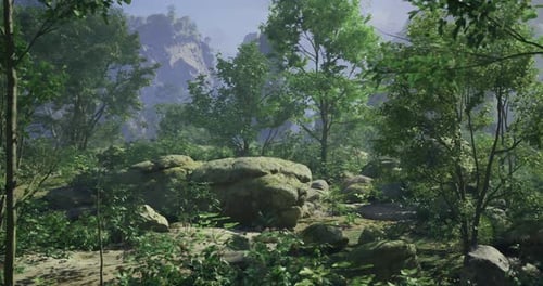 Vibrant Forest Landscape Featuring Sunlit Greenery and Rocky Terrain