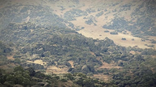 Aerial View of a Majestic Mountain Range Covered with Lush Green Trees