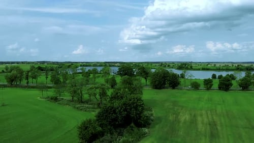 Fly over high trees near lake, blue sky with white clouds, aerail footage