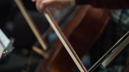 Cellists Performing Together with Bows in Orchestra