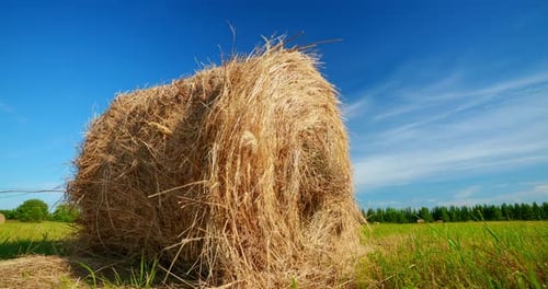 Round hay bale on a sunny meadow day