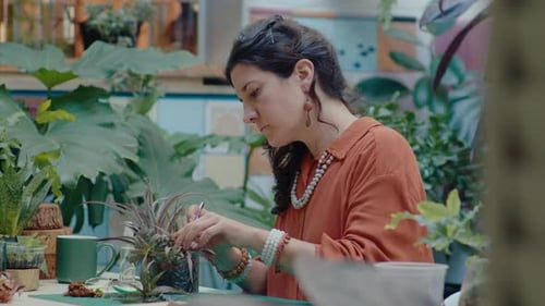 Mujer trasplanta una planta suculenta en el jardín interior de su casa