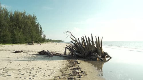 Underated Sunset Gerigat Beach,Fishing Village Kabong.White Sandy Beach,Green Coconut Trees and Blue