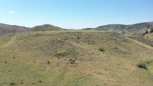 Vue aérienne des collines et du barrage du troupeau de vaches
