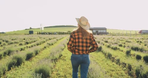 Une agricultrice inspecte les champs. Portrait d'une jeune agronome au chapeau marchant sur le terrain. Biologique intelligent
