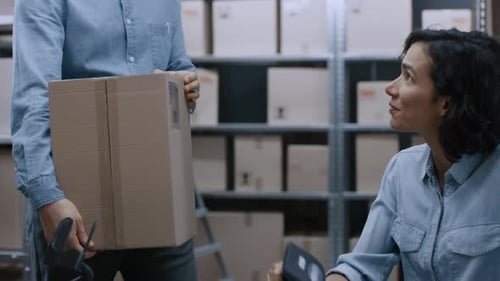 Male and Female Warehouse Inventory Managers Talking, Solving Problems, Using Personal Computer and