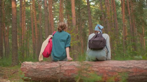 Hikers Sharing Warm Moment on Fallen Tree in Peaceful Forest