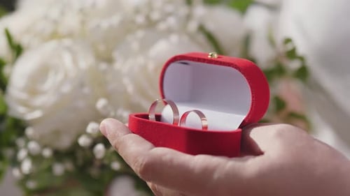 Wedding Rings in Red Box, Close Up