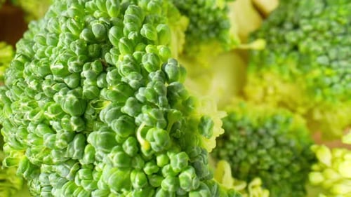 Macro Shot of Fresh Broccoli Florets