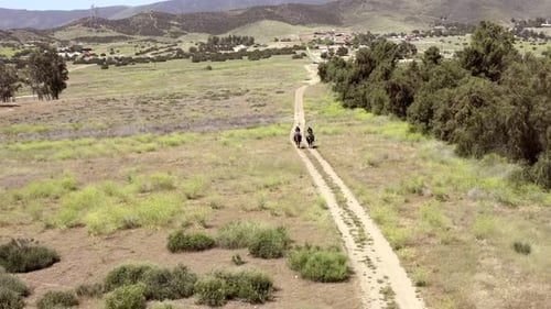 People Riding Horses on Dirt Path, Aerial View