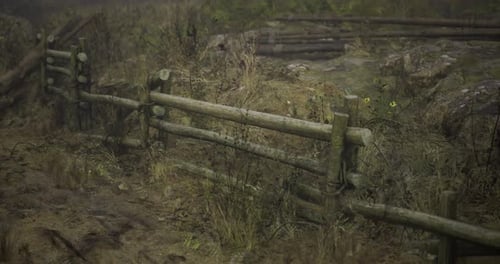 Weathered Wooden Fence Surrounded By Overgrown Vegetation in Rural Area