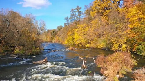 Aerial Flight Over Autumn River. Aerial flight over autumn landscape along river