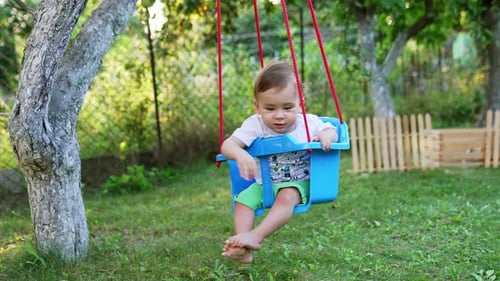 Baby on a Swing in a Grassy Yard
