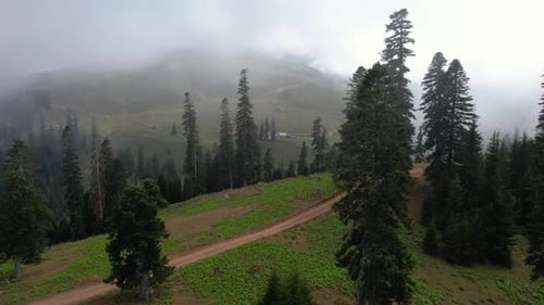 Dirt Road In The Foggy Mountain Forest