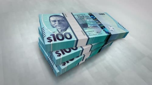 Belize dollars money banknote pile packs