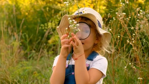 Little Girl Examining Wildflowers with Magnifying Glass