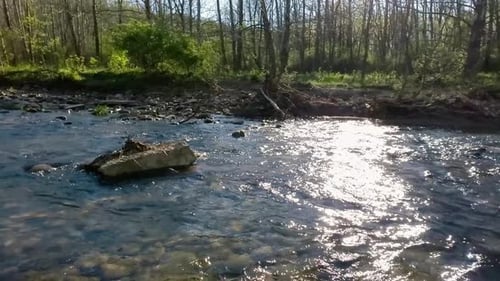 Footage of creek/river on a sunny, spring day