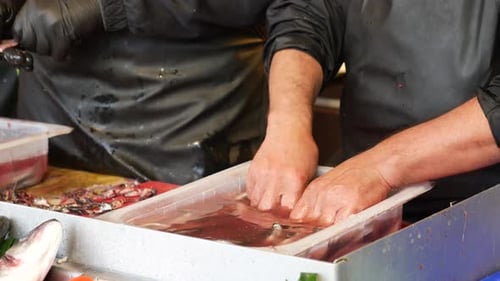 Fische für das weitere Garen reinigen