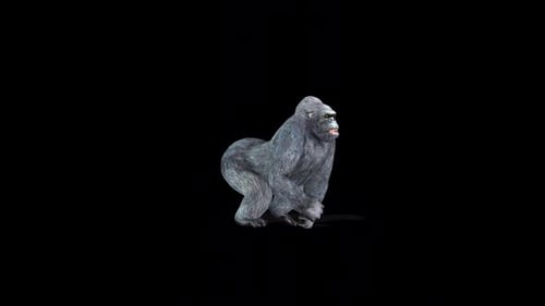 Gorilla Run