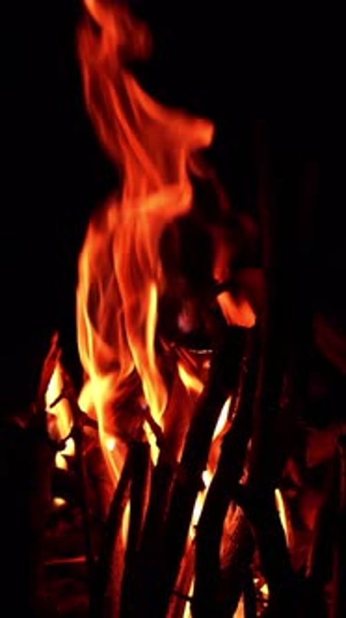 Flame fire on dark background. Flame orange glowing at campfire.