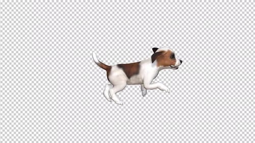 Puppy Run Transparent Background
