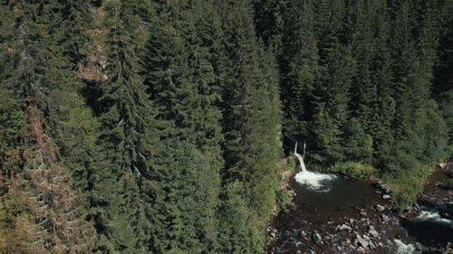Vista aérea de un dron sobre un bosque de abetos, con una cascada y un arroyo